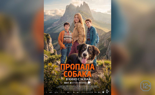 Пропала собака
