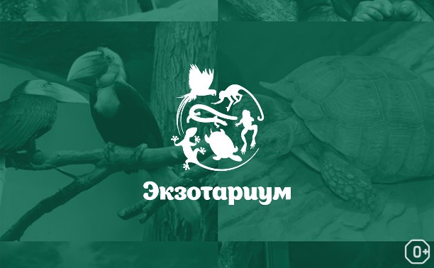 Экзоопарк. Входной билет Экзоопарк. Входной билет