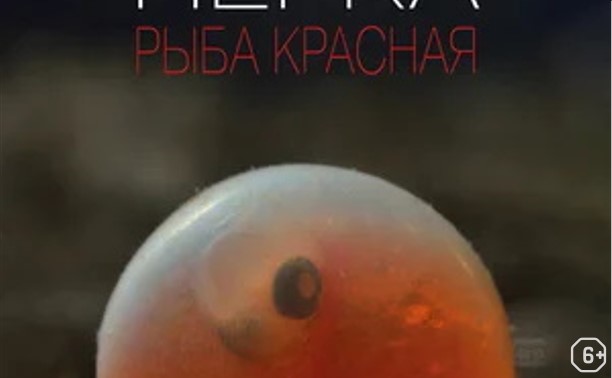 Нерка. Рыба красная