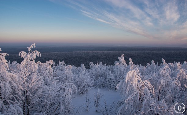 VII отчетная выставка фотолюбителей