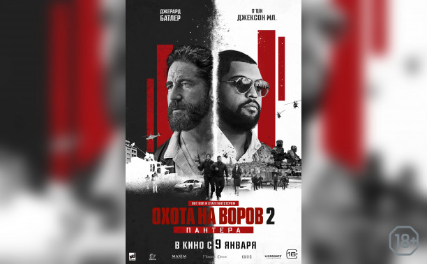 Охота на воров-2: Пантера