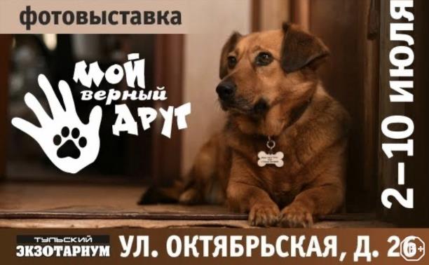 Мой верный друг