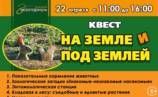 Квест на земле и под землёй