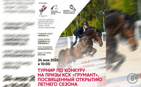 Соревнования по конкуру