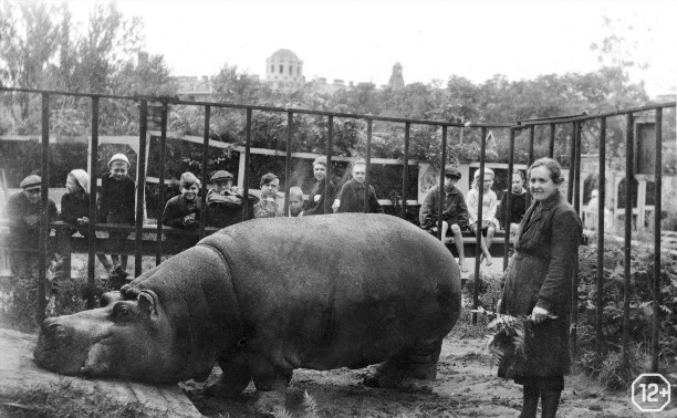 Зоопарки в военные годы