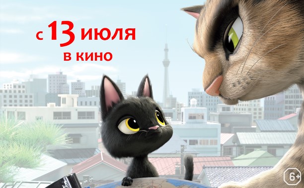 Жил-был кот