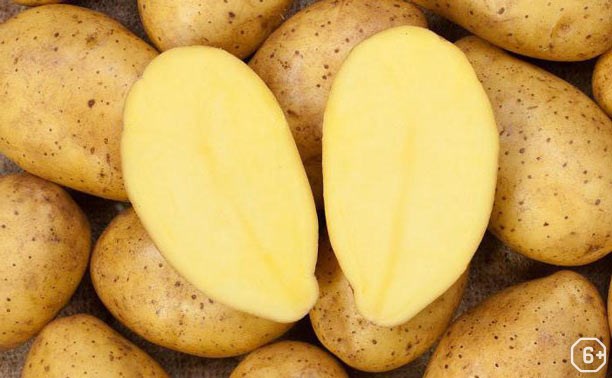 Примечания о тартофеле, или Занимательная история о ….картошке