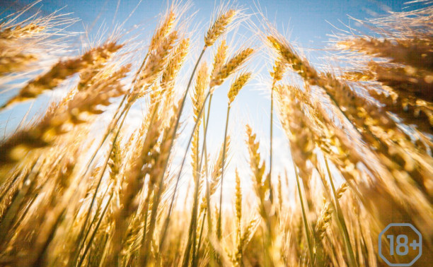 Самовар Крафт Фест