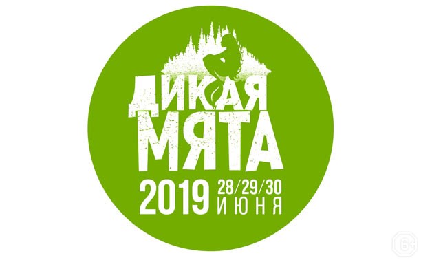 Дикая мята 2019