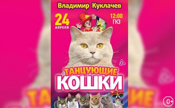 Танцующие Кошки