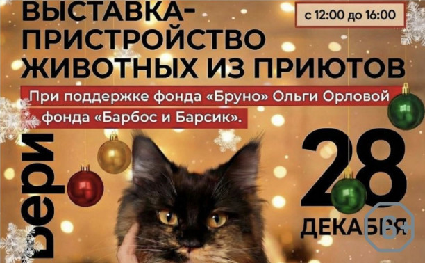 Машина добра