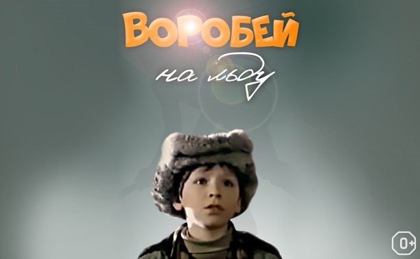 Воробей на льду