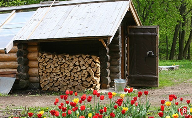 Литературное варенье