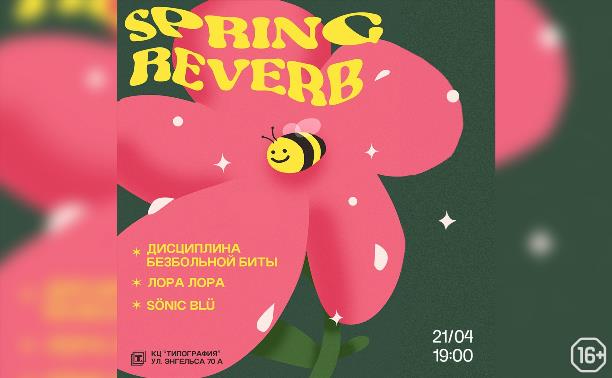 Spring reverb