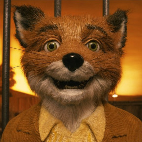 MRFOX