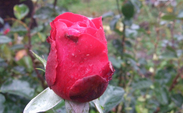 Уловки управляющих компаний