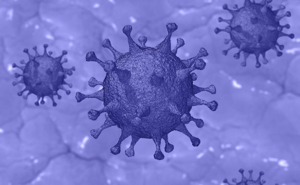 Ванга, Нострадамус и Глоба: известные провидцы предсказали коронавирус и мировой кризис