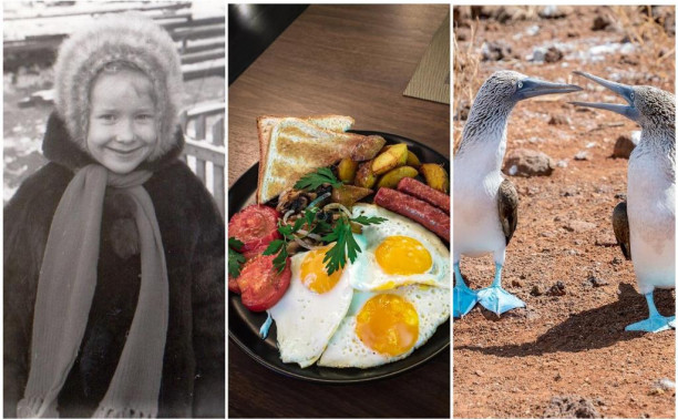 Раздаем призы за фотоконкурсы «Теплые вещи» и «Самый вкусный завтрак» и «Красивые птички»