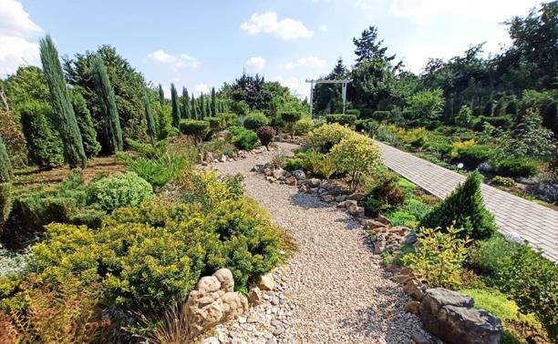 Туляки создали чудесный сад за пять лет: «Наш сад – чистый экспромт!»