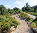 Туляки создали чудесный сад за пять лет: «Наш сад – чистый экспромт!»