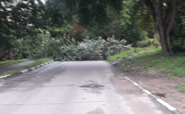 Вот так выглядит улица Л. Толстого 18.07.2018