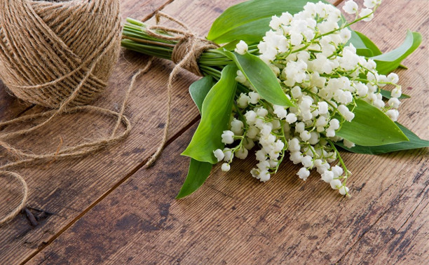 С Днем вылупления, Светлана Тульская!