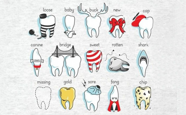 Где в Туле работают лучшие стоматологи?