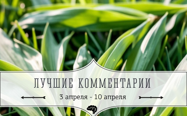7 лучших комментариев: 3 - 10 апреля