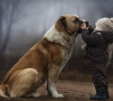 Дружба ребенка и собаки: да или нет?