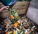 Пищевые отходы: компостировать, нельзя выбрасывать!