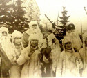 20 декабря: в Туле организовали экскурсии по новогодним елкам