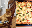 Подводим итоги фотоконкурсов «Пушистый рыжий кот» и «Любимая пицца»