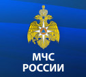 Какие госуслуги оказывает МЧС России по Тульской области?
