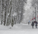 Снегопад в одном кадре..