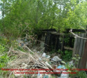 Жители Зареченского района хотят жить в чистом районе,а не в заросшем бурьяном и мусором!
