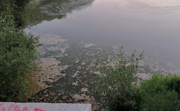 Загрязнение пруда на Верхней Стрекаловке