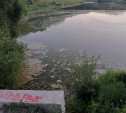 Загрязнение пруда на Верхней Стрекаловке