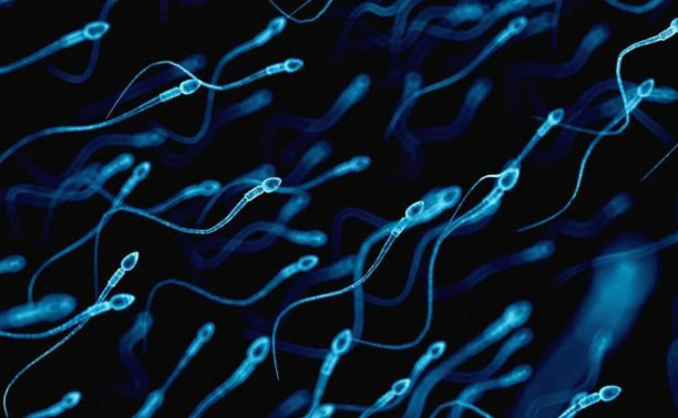 В Великобритании пройдут курсы приготовления еды из спермы