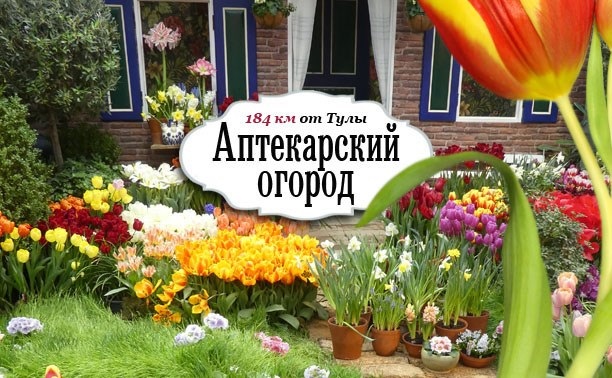 Аптекарский огород, Москва. Маршрут выходного дня