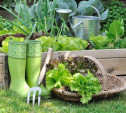 Огород в цветнике: посадить овощи на клумбу – отличная идея