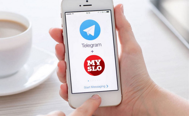 MySLO запускает канал в мессенджере Telegram