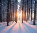 Участвуйте в фотоконкурсе зимней природы