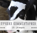 7 лучших комментариев: 23-29 марта