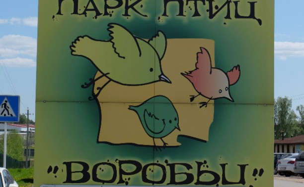 Парк птиц «Воробьи»