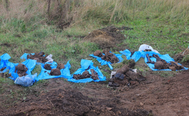 В д.Прудное обнаружены останки 22 защитников Тулы
