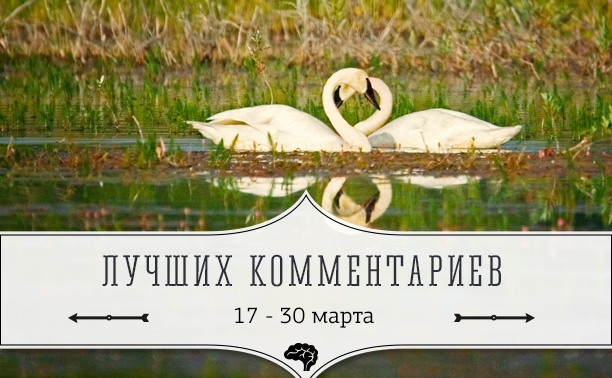 8 лучших комментариев: 17 - 30 марта