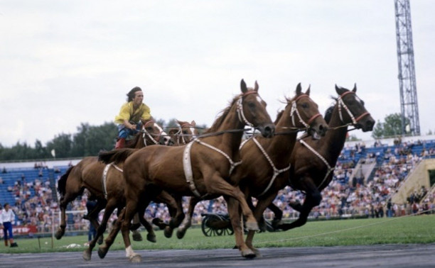 21 июля: тулякам показали уникальное конное шоу из Польши