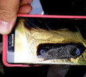 Samsung назвала причины возгорания смартфонов Galaxy Note 7