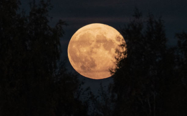 Нереально красивая Луна в Туле вчерашней ночью: фоторепортаж