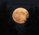 Нереально красивая Луна в Туле вчерашней ночью: фоторепортаж